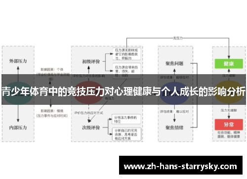 青少年体育中的竞技压力对心理健康与个人成长的影响分析