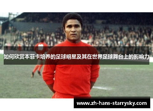 如何欣赏本菲卡培养的足球明星及其在世界足球舞台上的影响力