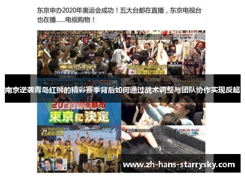 南京逆袭青岛红狮的精彩赛季背后如何通过战术调整与团队协作实现反超