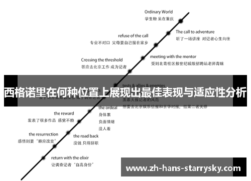 西格诺里在何种位置上展现出最佳表现与适应性分析